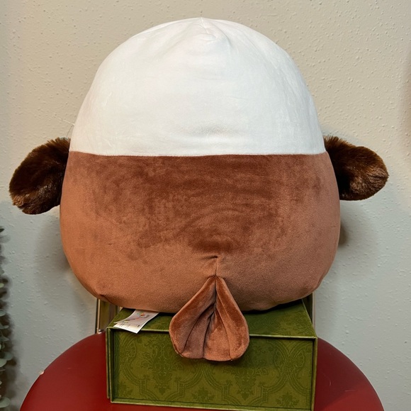 NWT 12”‎ Edward - Picture 3 of 4